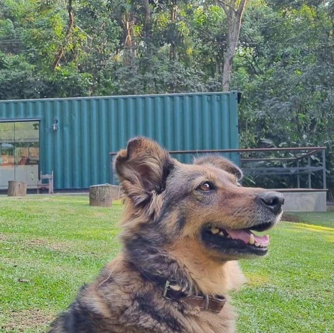 Casa Container Na Represa De Guarapiranga! Sonho! Villa São Paulo Buitenkant foto